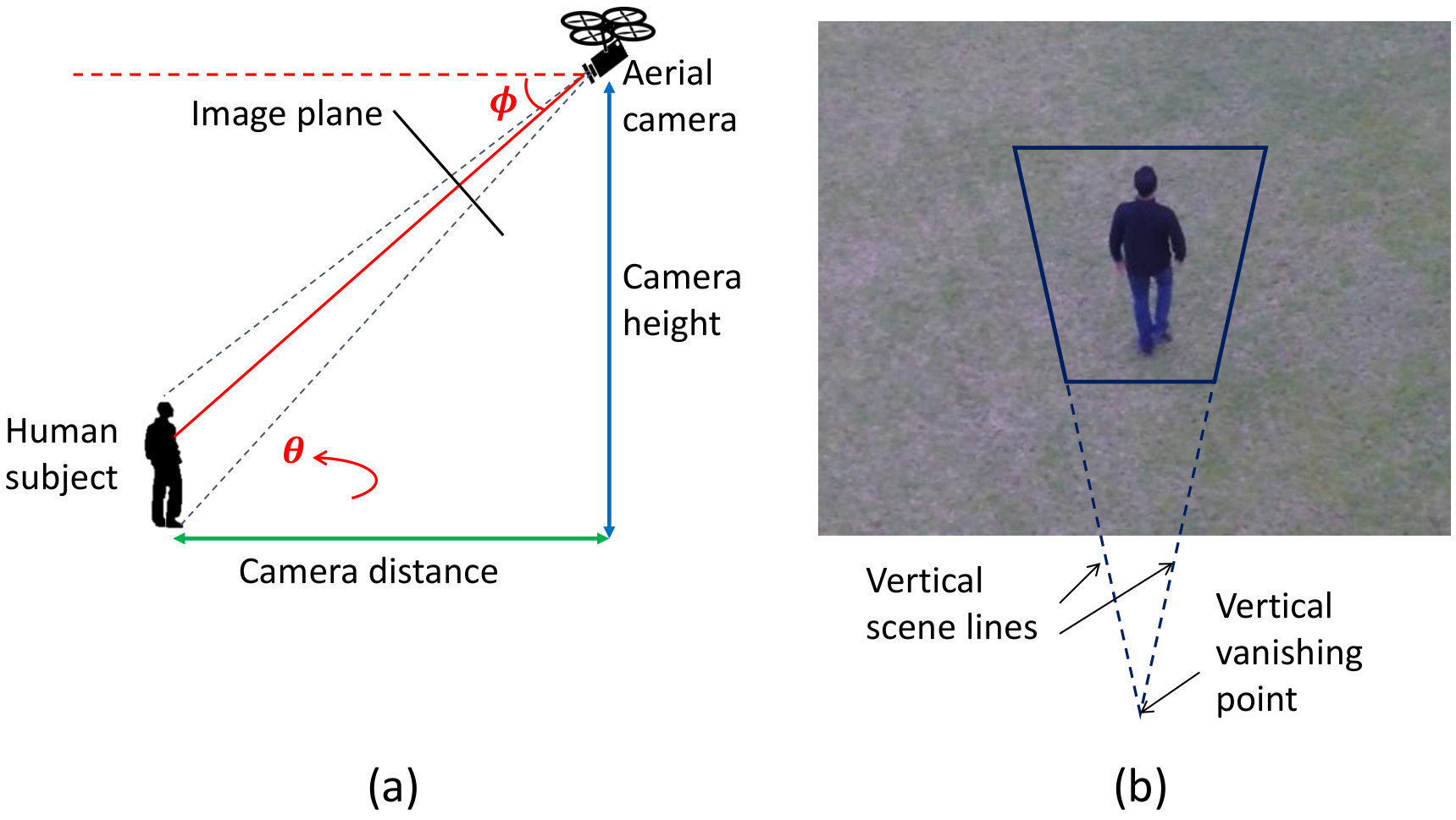 Figure 31